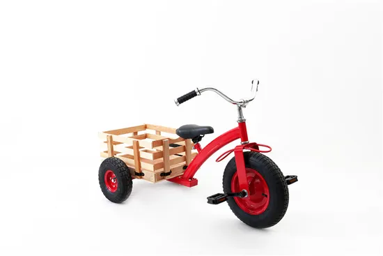 Sturdy and Safe Kids Tricycle 