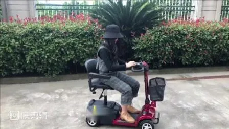 Four Wheels Foldable Mobility Kids Electric Scooter 