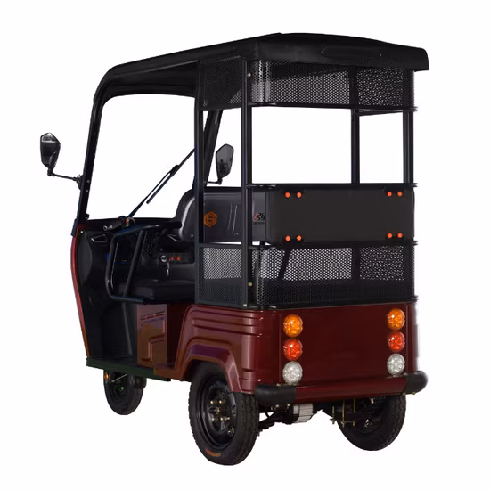 2022 New Electric 2 Passenger Bike and Loader E Trike Tricycle with Canopy Roof for Family Adult Kid Use